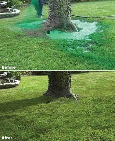 Lawn Repair - The Fast, Easy Way to Get a Lush, Green Lawn!